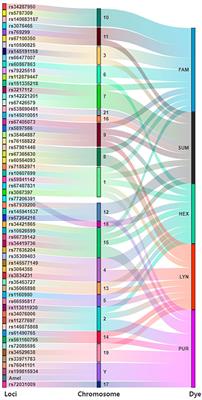 Genetic polymorphisms and population genetic analyses of 57 autosomal InDel loci in Hubei Tujia group